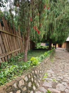 Bright Michelle Homestay