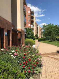 Apartment in Siofok - Balaton 54365