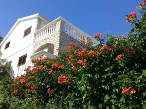 Seaside holiday house Sparadici, Sibenik - 24313