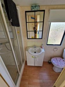 Sea View Escape 2 Bedroom Pet Friendly Caravan at Clarach Bay Gm3