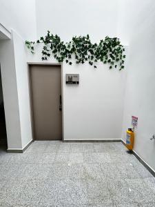 Laureles Apt1 AC, in the Worlds Coolest Neighborhood