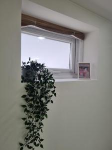 Shin-Nonhyeon Hideout