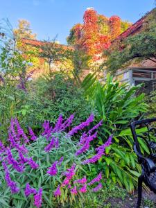 La Ignacia Bed and Breakfast