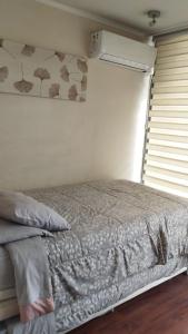 Gasset aparments