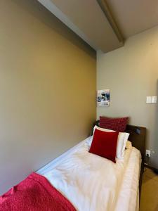 e-hostel 心斎橋 401