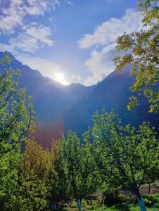 Harsil woodstone homestay
