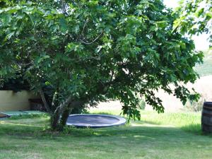 Amazing apartment in Belvedere Ostrense with garden