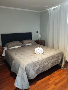 Gasset Apartments General Flores