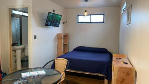 Cabaña un ambiente villarrica