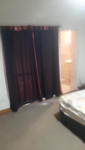 Daiana Carlos temporarios