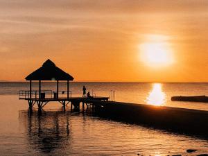 Finca Aisa -Boutique bungalow in Ometepe island