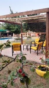 Kitty Roga en IG y FB