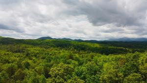 Above Expectations-New Exterior-Sleeps 8-Hot Tub-Games Galore-Nature