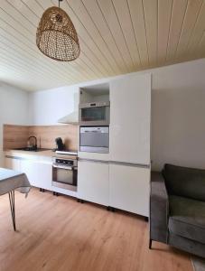 Appartement LHirondelle