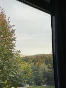 Садиба Ведмедиця