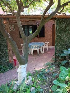 One-Bedroom Bungalow with Patio
