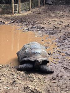 Hanza Tower SKY 22 Pool & Jacuzzi