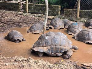 Hanza Tower SKY 22 Pool & Jacuzzi