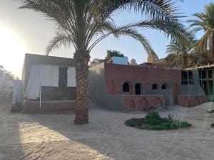 Garden Nile Resorts