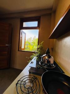 Romantic Jungle Hideaway