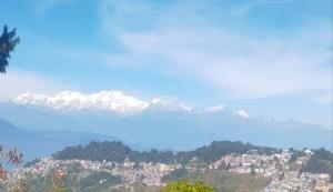 Darjeeling Homes - The Glory