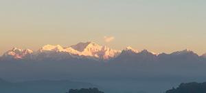 Darjeeling Homes - The Glory