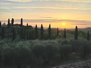 Appartamento Aster - Azienda Agricola Sotto il Masso
