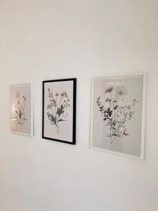 Jadart T3 avec balcon au pied de la cathédrale