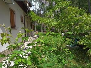 Plitvice Studio Apartments