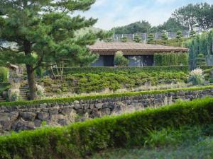 Amber Pure Hill Hotels & Resorts Jeju