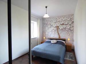 Apartamenty Albatros DOL