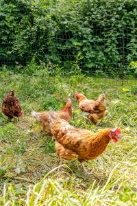 Cosy Cotswolds Retreat near Badminton