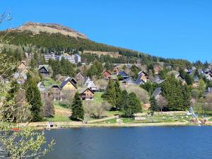 Super-Besse Appartement 4 personnes avec piscine et sauna dans la résidence