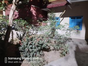 2BHK Homestay near Gundicha Temple Best for Ratha Yatra