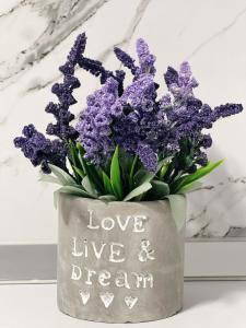 Shestani Apartment Shkoder