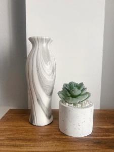 Shestani Apartment Shkoder