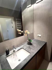 Apartament Garnizon Suite de Lux