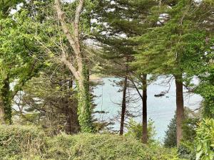 Maisons de vacances Ty Bugale - Sea view house - Nature - 6 people : photos des chambres