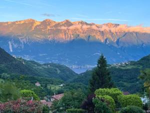 Villa Ortensia Garden