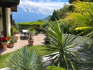 Villa Ortensia Garden