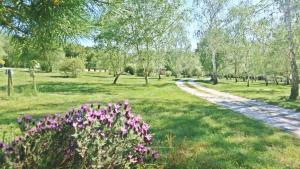 Chalets Tiny House Boho Ocean : photos des chambres