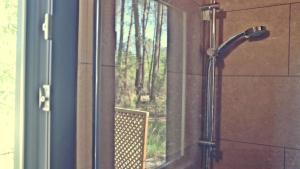 Chalets Tiny House Boho Ocean : photos des chambres