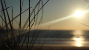 Chalets Tiny House Boho Ocean : photos des chambres