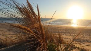 Chalets Tiny House Boho Ocean : photos des chambres