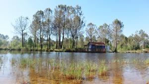 Chalets Tiny House Boho Ocean : photos des chambres