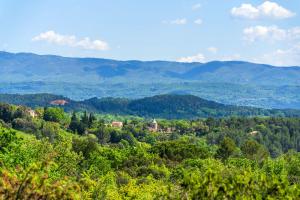 Maisons de vacances Villa sur 1 hectare 15 Personnes GORDES & ROUSSILLON : photos des chambres