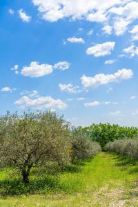 Maisons de vacances Villa sur 1 hectare 15 Personnes GORDES & ROUSSILLON : photos des chambres