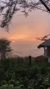 Rong-mok ร่องหมอก