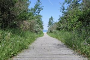 Barendorf Whg Meyer1