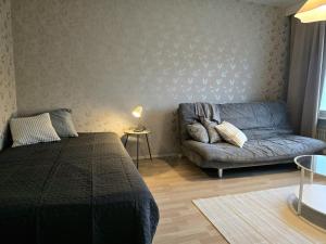 Functional 2-room apartment Kuopio
